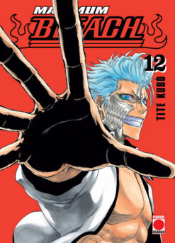 Maximum Bleach nº 12